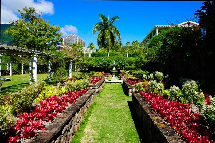 A shaded path in Nevis' Botanical Garden