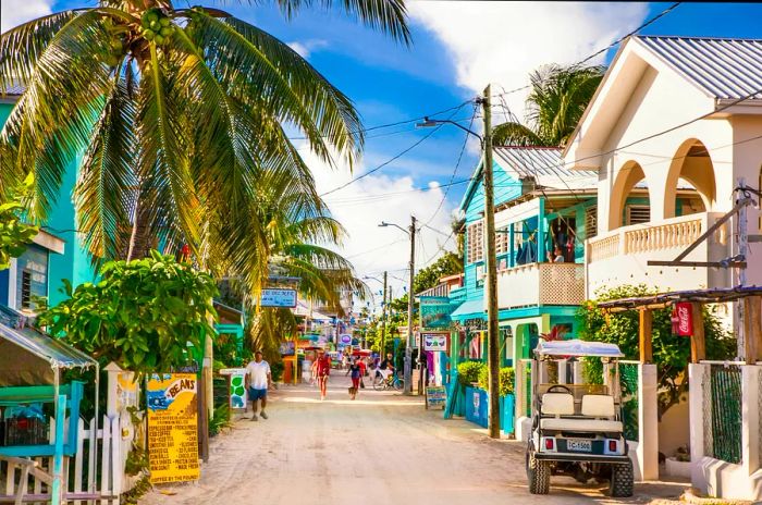 A sandy path on Caye Caulker