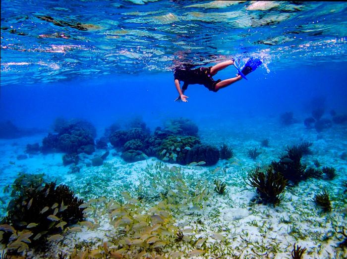 A young boy swims in the pristine waters of San Pedro, Belize.