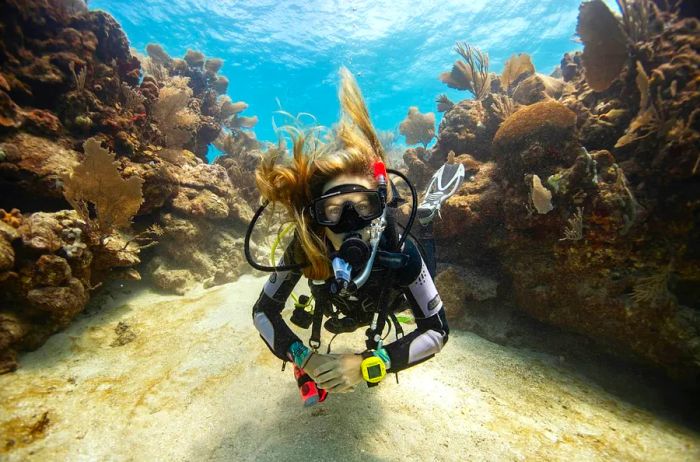 A woman with blonde hair scuba diving among coral reefs off Utila, Bay Islands, Honduras, Central America.