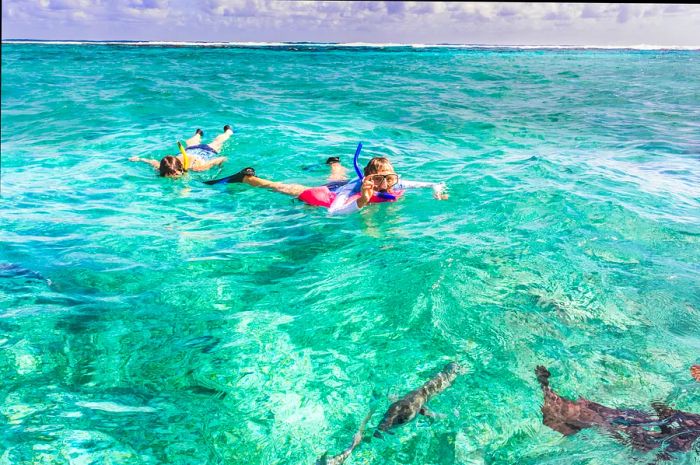 Snorkelers enjoy the vibrant reef near Caye Caulker, a small island close to Ambergris Caye, renowned for its proximity to the Belize Barrier Reef, making it a diver's paradise.