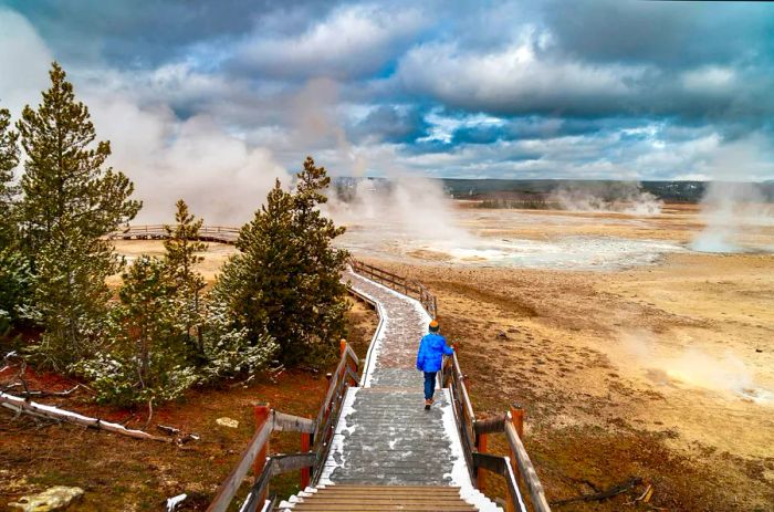 A hiker navigates a wooden walkway beside the bubbling geyser at Yellowstone National Park