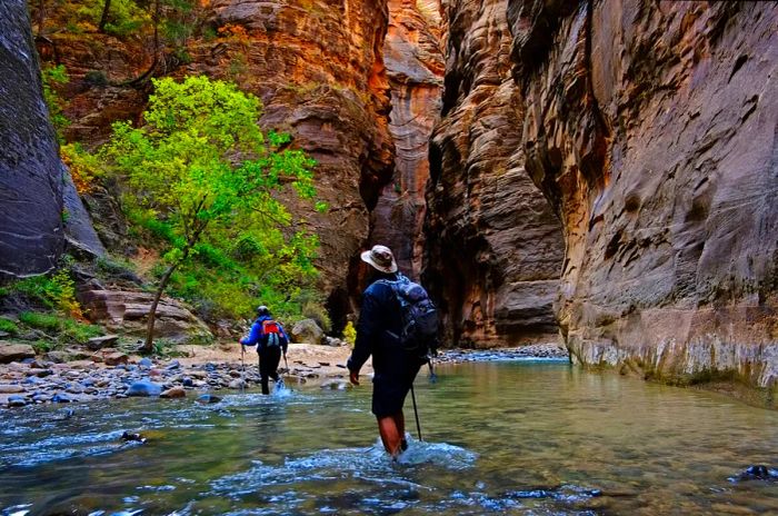 A group of hikers traverses The Narrows, carved by the Virgin River through the stunning red rock canyon in New River Gorge National Park and Preserve.