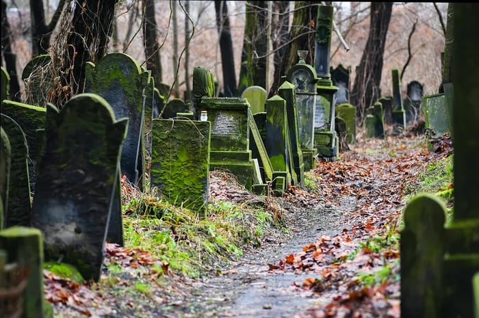 Gravestones in the Jewish cemetery, Warsaw, Poland