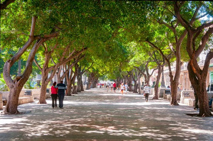 Strollers make their way down the Paseo de Martí in Havana, Cuba