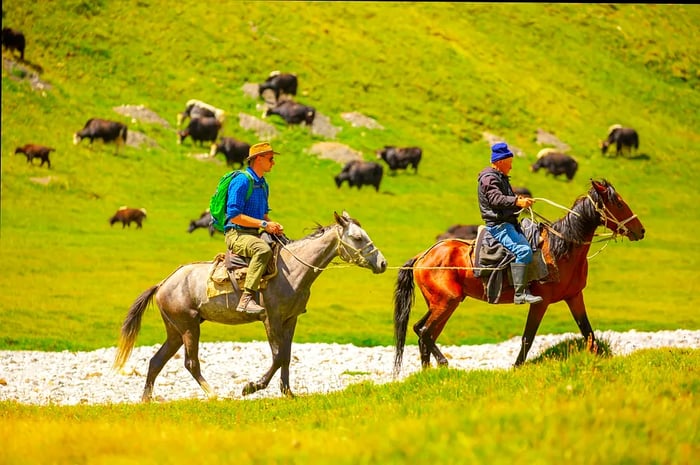 Two men on horseback gallop through the mountainous landscapes of Kyrgyzstan, Central Asia.