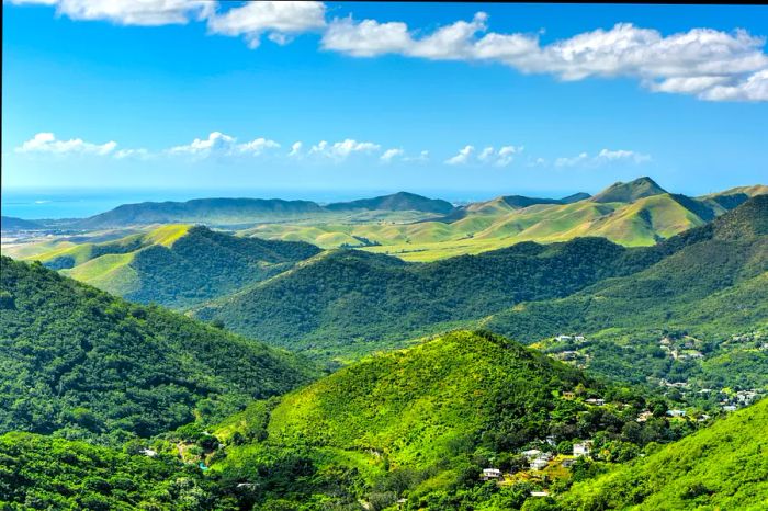 A scenic view of lush tropical hills under a blue sky with the sea visible in the distance near Salinas, Puerto Rico