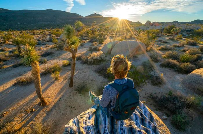 A young adventurer gazes at the sunrise behind a rock formation in Joshua Tree National Park, USA.