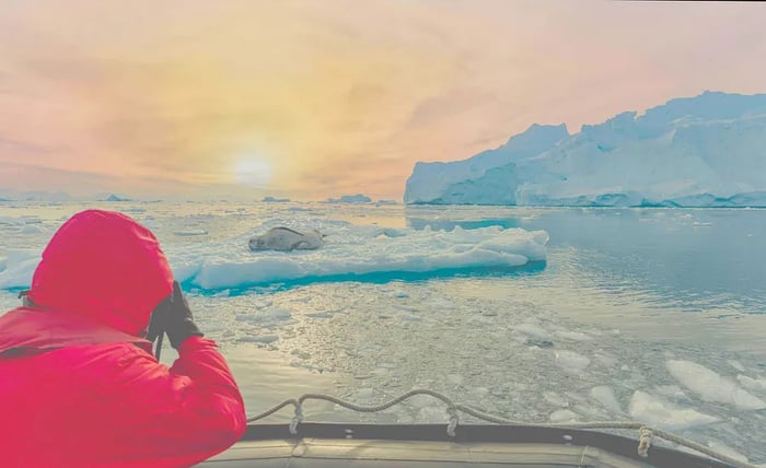 Tourists in Antarctica observe a leopard seal (Hydrurga leptonyx) closely from a Zodiac as it rests on an ice floe in Cierva Cove.