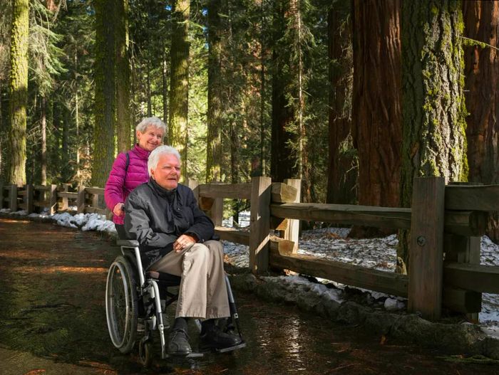 A senior man is being assisted in a wheelchair by a companion in Sequoia National Park.