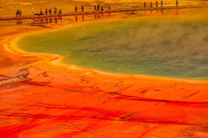 Visitors at the Grand Prismatic Spring traverse the walkway above the vibrant geothermal landscape in Yellowstone National Park, WYO, USA.