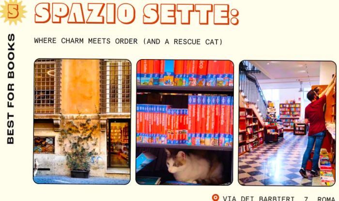 Close-up images from a bookstore in Rome, showing staff organizing bookshelves, a cat dozing under a shelf of travel books, and an exterior view of the shop.