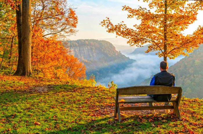 A man relaxes on a bench, soaking in the early morning sunrise at Letchworth State Park.