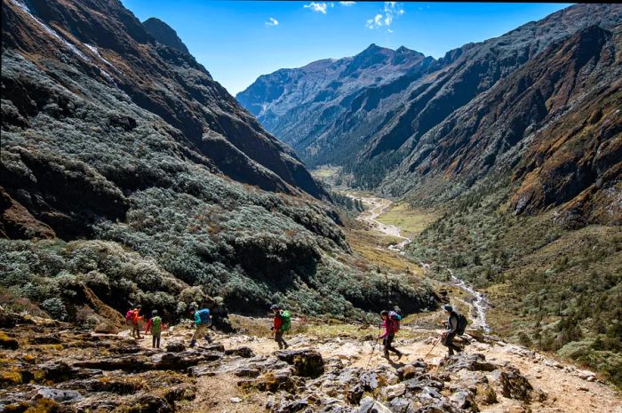 A group of hikers carry their equipment along a mountain trail.