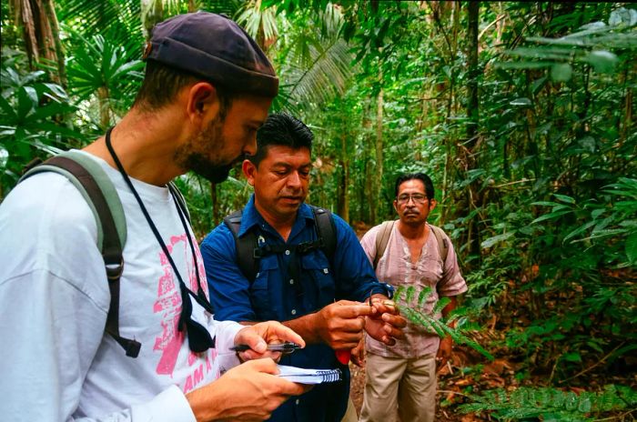 Experience a guided tour of Elijio Panti National Park led by a practicing Mayan healer knowledgeable about the local flora.