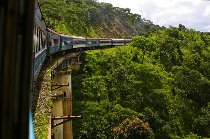 A train travels along a high track, overlooking a valley nestled in a lush forest.