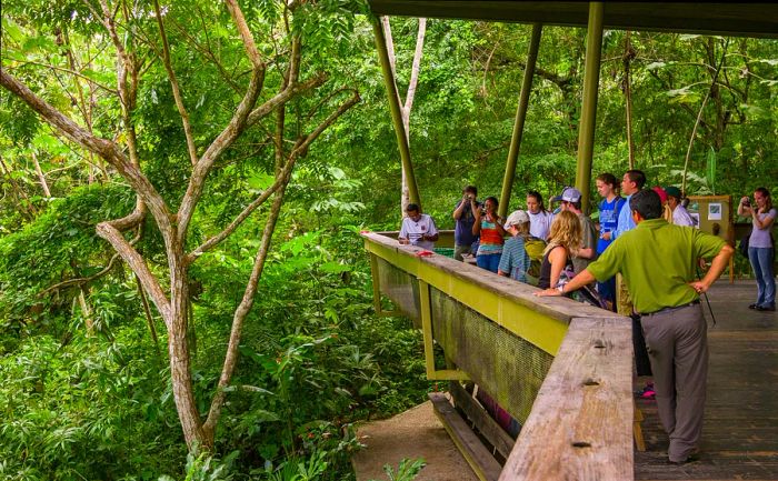 Tourists at the Rainforest Discovery Center on Pipeline Road, SOBERANIA NATIONAL PARK, PANAMA