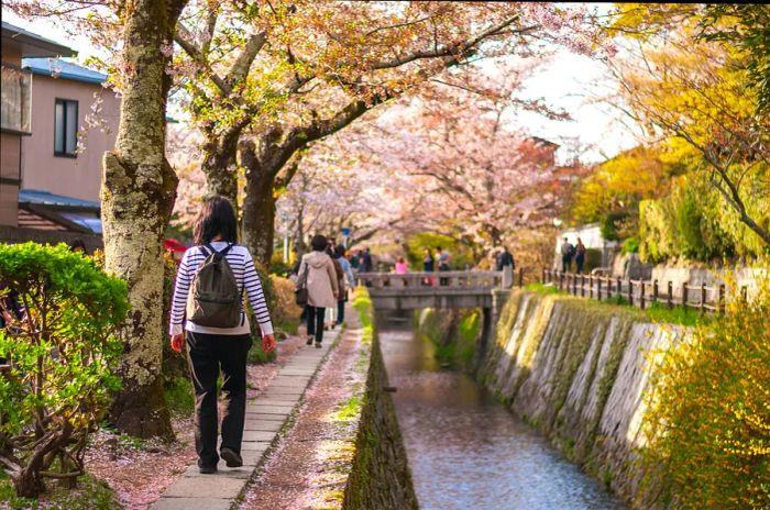 'The Path of Philosophy' (Tetsugaku no michi) is a famous cherry blossom viewing spot along the riverside.