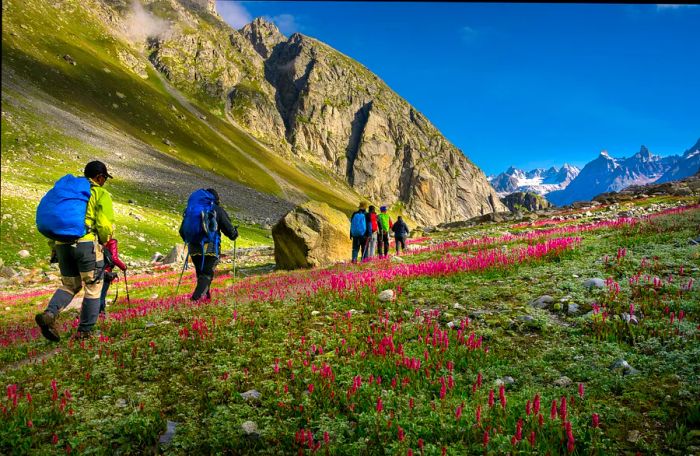 Trekkers on the way to the Hampta Pass in Himachal Pradesh