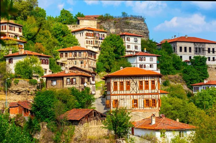 A collection of timber-framed houses nestled on a hillside