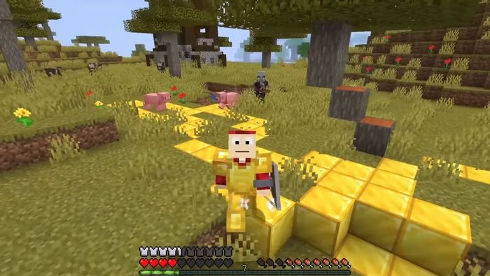 Hướng dẫn cách điều chỉnh chế độ Quan sát trong Gamemode Minecraft