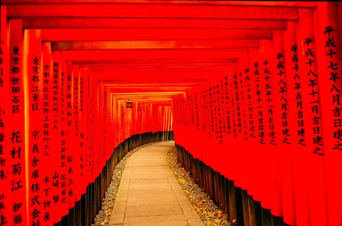 A path lined with red torii gates inscribed with Japanese characters at Fushimi Inari-Taisha