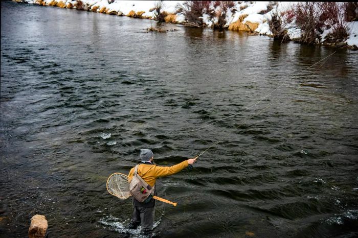 Hire a guide to dive into the excitement of winter fly-fishing while in Park City, Utah. Layne V. Naylor/Shutterstock