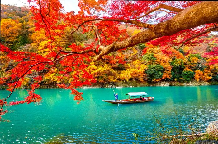 A boatman gently paddles along a river framed by autumn foliage on the outskirts of Kyoto, Japan