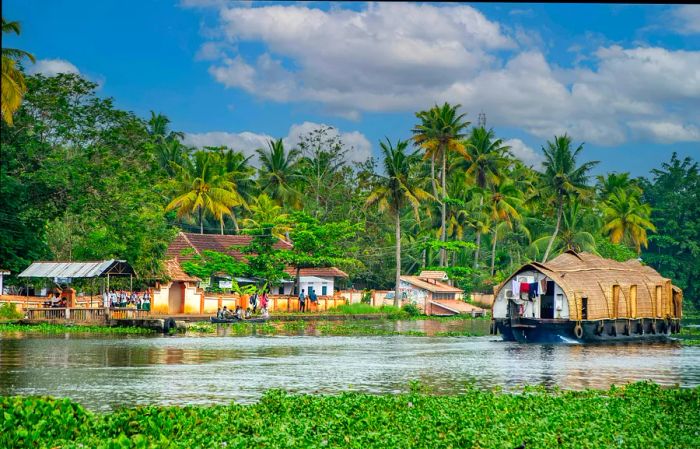 Embark on an overnight houseboat journey to fully immerse yourself in the enchanting atmosphere of Kerala's backwaters.