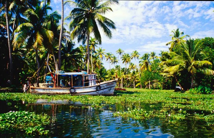 A traditional rice barge gliding through the backwaters of Kerala (between Alappuzha and Kollam)