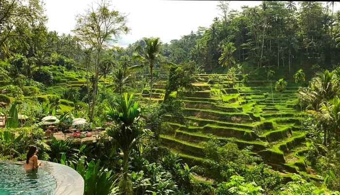 A girl enjoys swimming in a pool that overlooks the lush rice terraces in Ubud, Indonesia