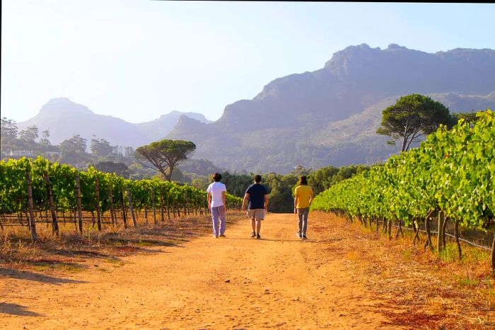 Three individuals walk through a vineyard, heading toward impressive rugged hills on a sunny day.