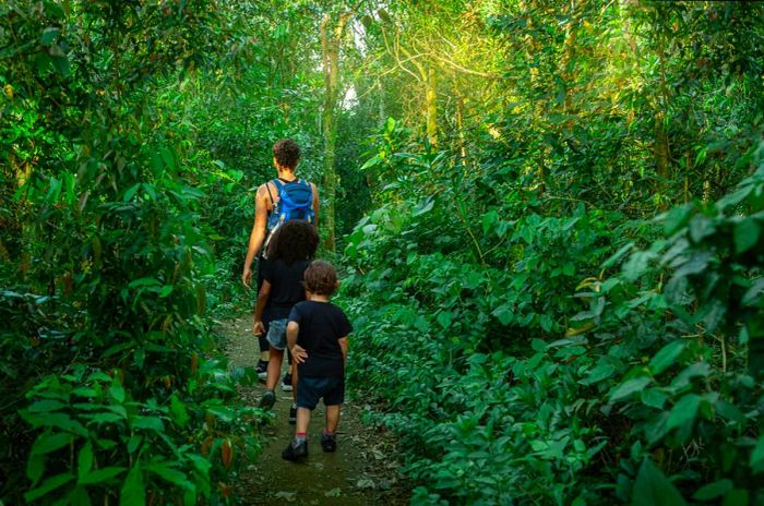 A mother with two children reveling in the lush jungle of a national park.