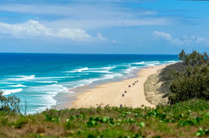 A sprawling sandy beach stretches into the horizon, lined with a row of 4WD vehicles driving along it.