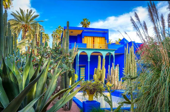 A stunning blue building with yellow accents stands amidst a cactus garden.