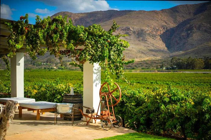 A picturesque vineyard in Montagu Valley featuring deck chairs with stunning views of the surroundings