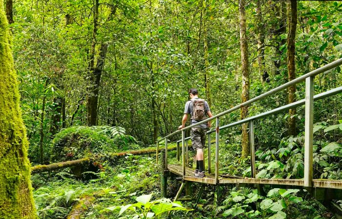 A hiker carrying a backpack crosses a metal bridge during a trek in Boquete, Panama.