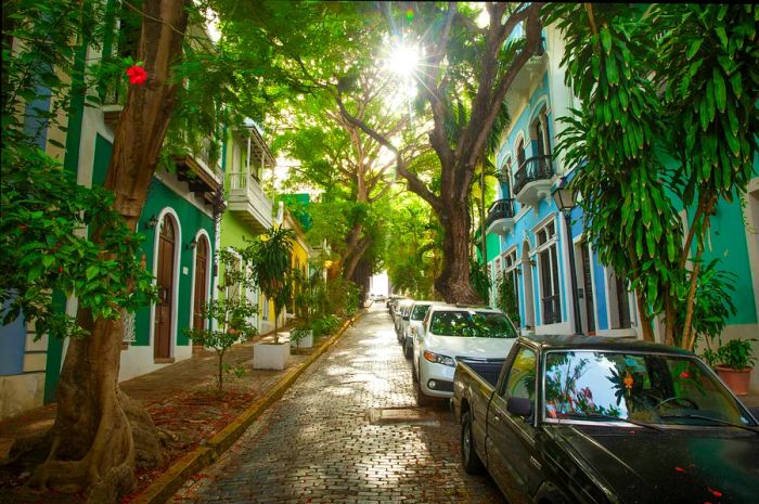 A picturesque, sloping cobbled street in San Juan, Puerto Rico, lined with cars on one side and shaded by trees.