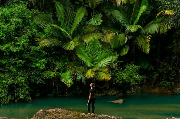 A woman stands gracefully on the rocks at a lakeshore, framed by the trees in El Yunque National Forest.