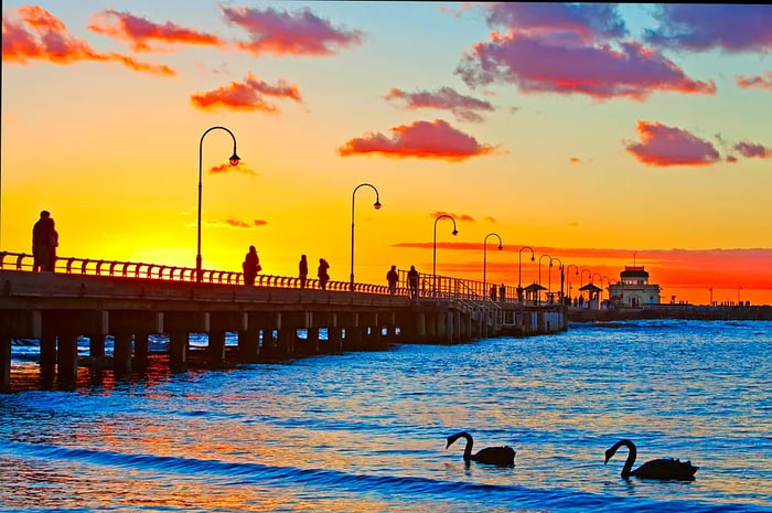 Sunset at St. Kilda Pier, accompanied by swans.