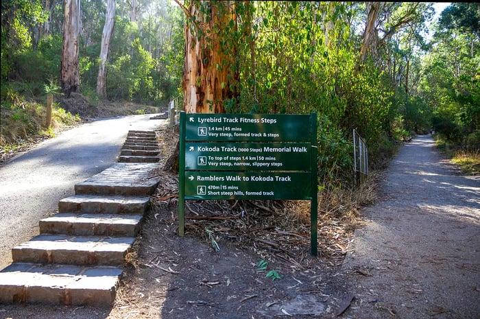 Walking trails in the Dandenong Ranges lead to the Kokoda Track Memorial Walk known as the 1000 Steps.