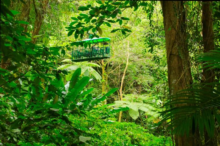 St. Lucia Canopy Tram Tour through the rainforest