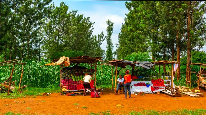 Market stalls along the Nairobi Highway (A2) in Kenya.