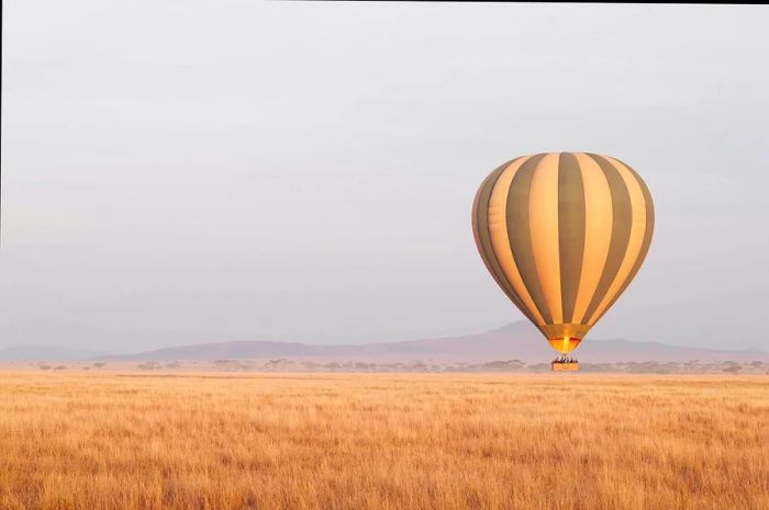 A hot-air balloon ascends at dawn above the Serengeti