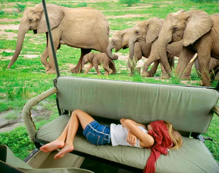 A child peacefully sleeps in a safari vehicle, with elephants in the backdrop in Tanzania