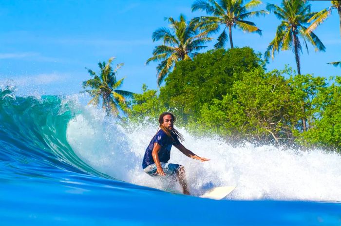 A surfer rides a wave barrel along a palm-fringed shore.