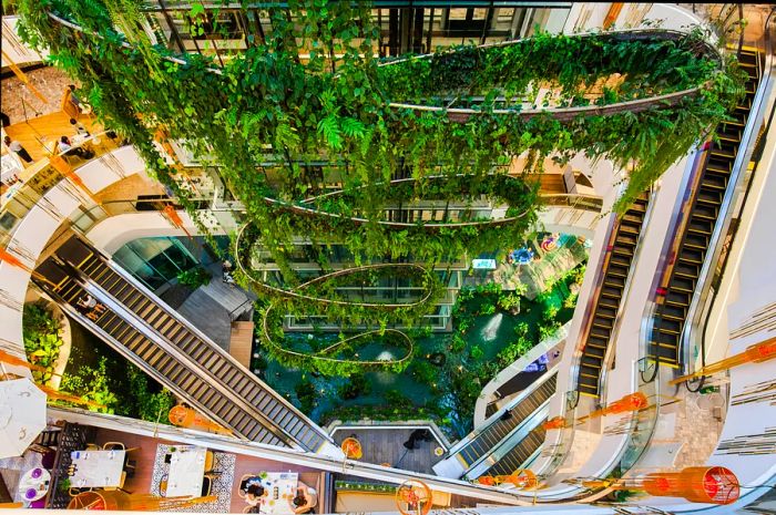 The Helix Quarter at Emquartier Shopping Mall in Thailand showcases escalators, shops, and lush green plants from its top floor perspective.