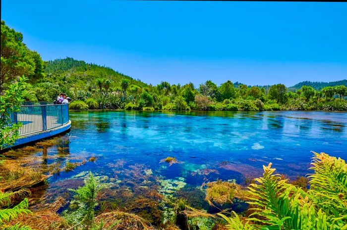 Visitors gather at the edge of the crystal-clear waters of Te Waikoropupu Spring.