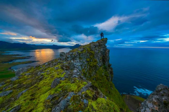 A man gazes out from a hill, overlooking the waters of the Strandir coast in Iceland.