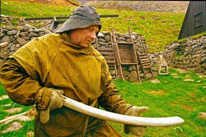 A fisherman at the Bolungarvik Traditional Fishermen's Life Museum